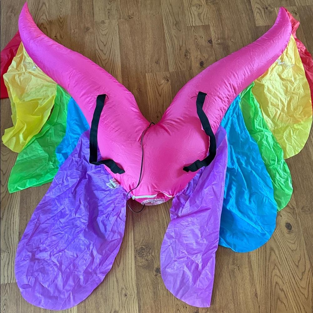 Colorful Wings Costume